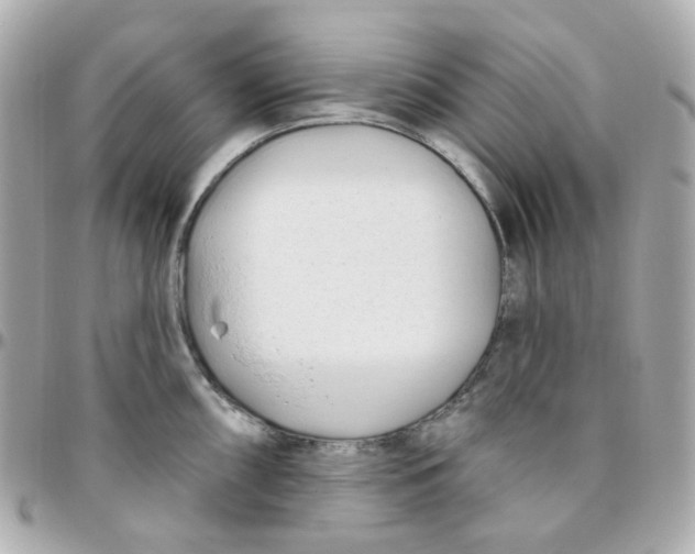 X0000095901098200802011123