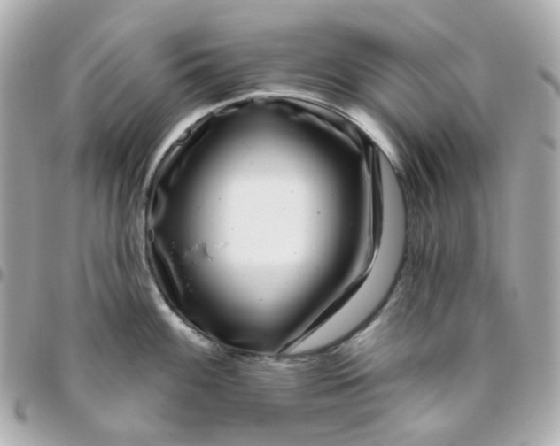 X0000095901100200802011123