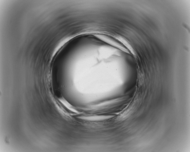 X0000095901101200802011123