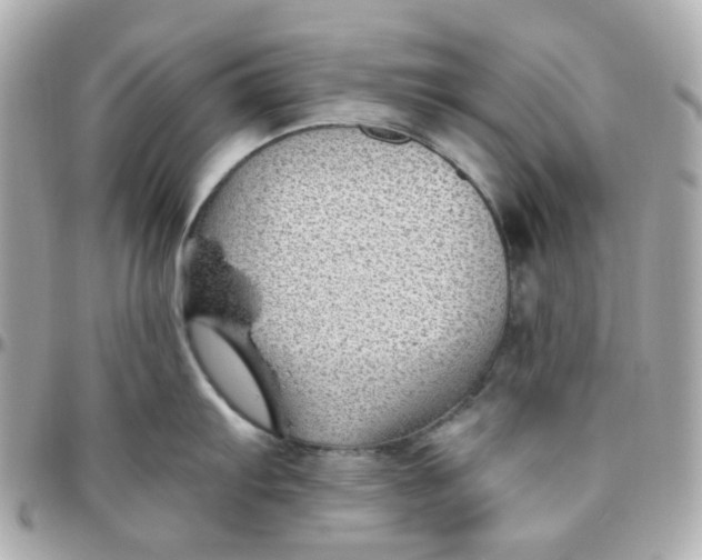 X0000095901103200802011123