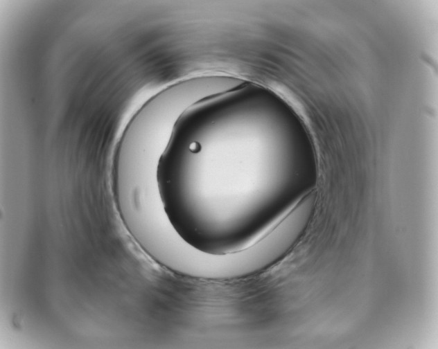 X0000095901104200802011123