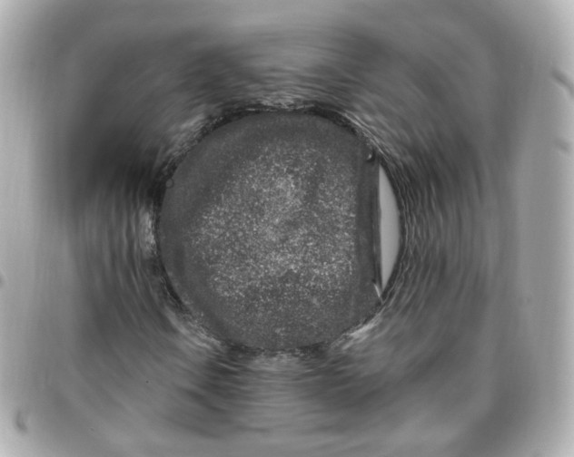 X0000095901106200802011122