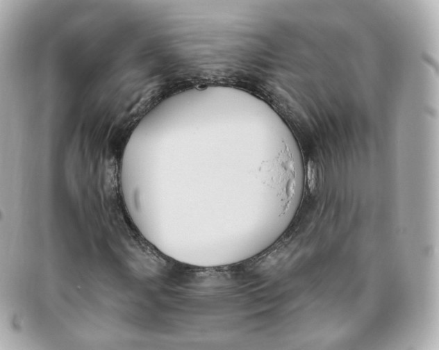 X0000095901107200802011122