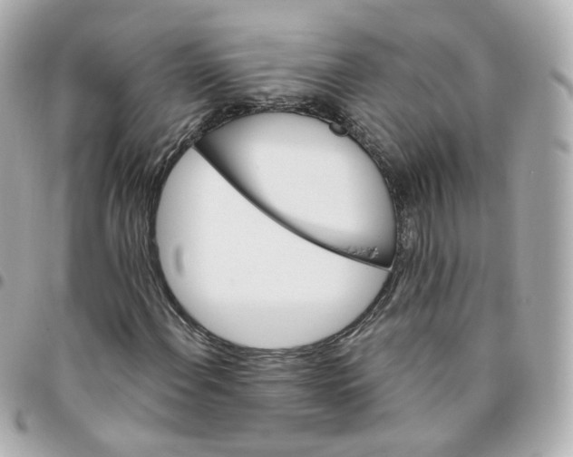 X0000095901108200802011122