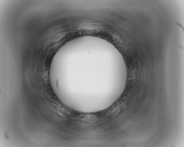 X0000095901109200802011122