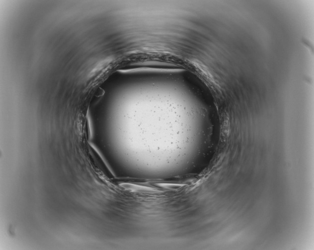 X0000095901110200802011122