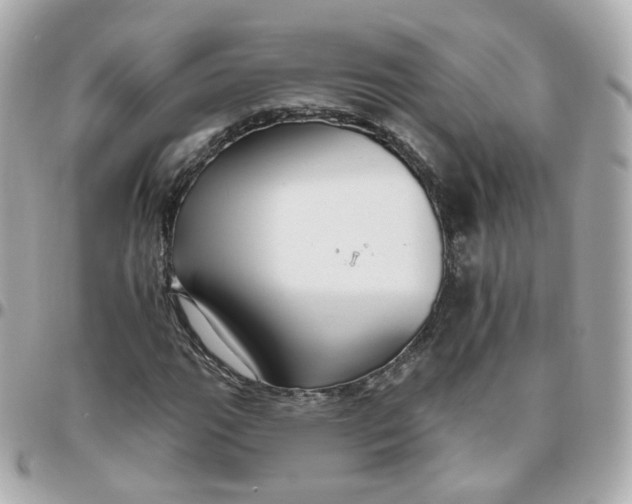 X0000095901111200802011122