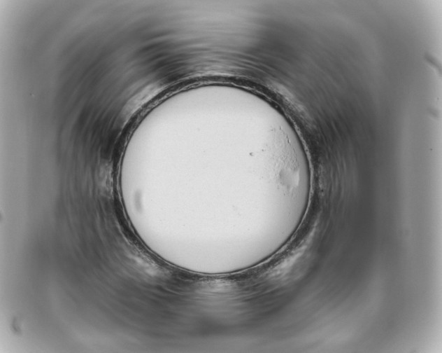 X0000095901113200802011122