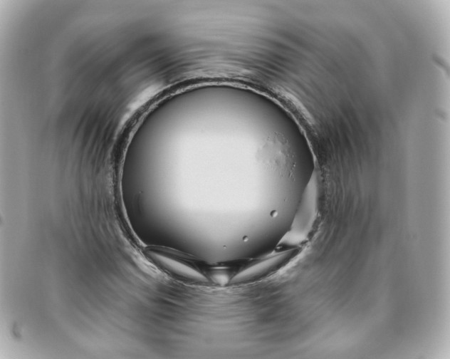 X0000095901114200802011122