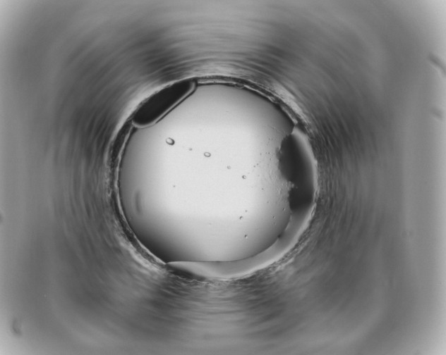 X0000095901116200802011122