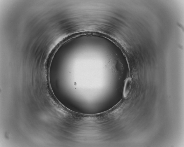 X0000095901118200802011122