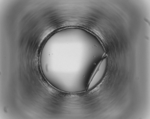 X0000095901119200802011122