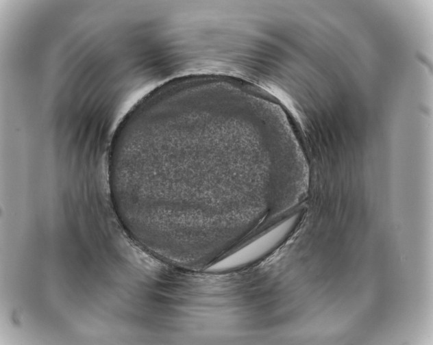 X0000095901120200802011122