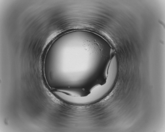 X0000095901122200802011122