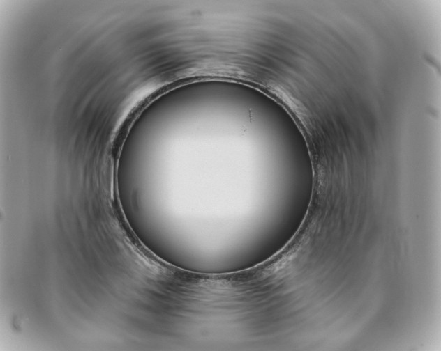 X0000095901123200802011122