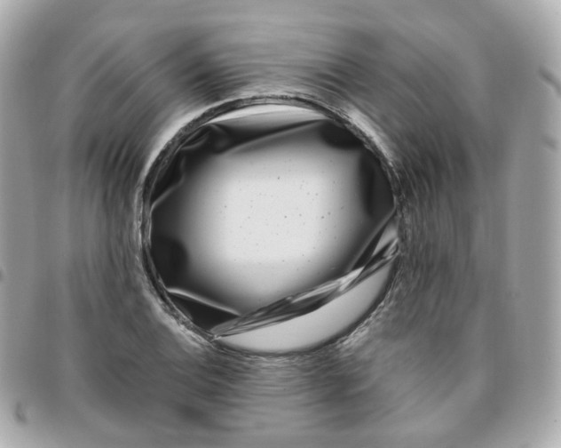 X0000095901124200802011122