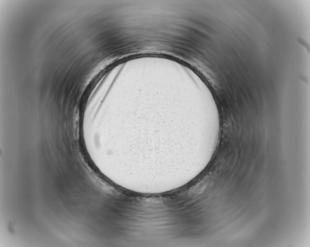 X0000095901126200802011122