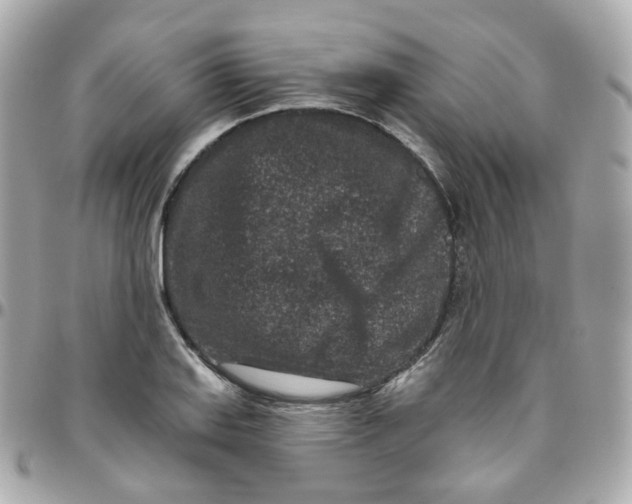 X0000095901127200802011122