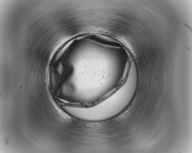 X0000095901128200802011122