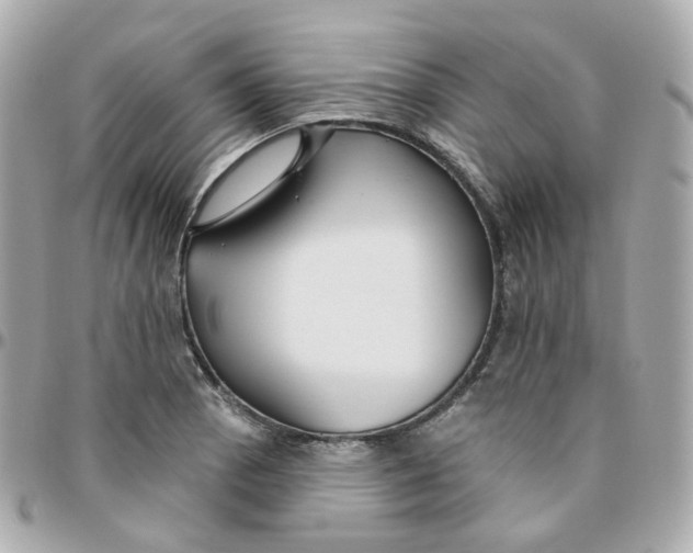 X0000095901129200802011122