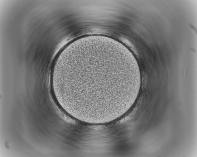 X0000095901130200802011122