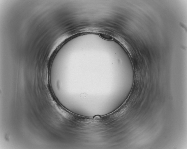 X0000095901131200802011122