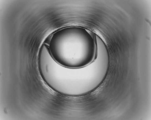 X0000095901132200802011122