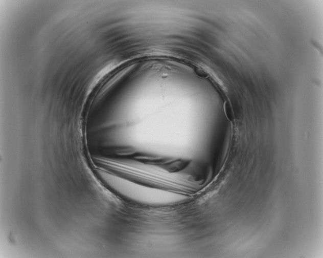 X0000095901133200802011122