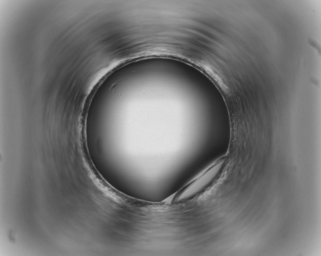 X0000095901134200802011122