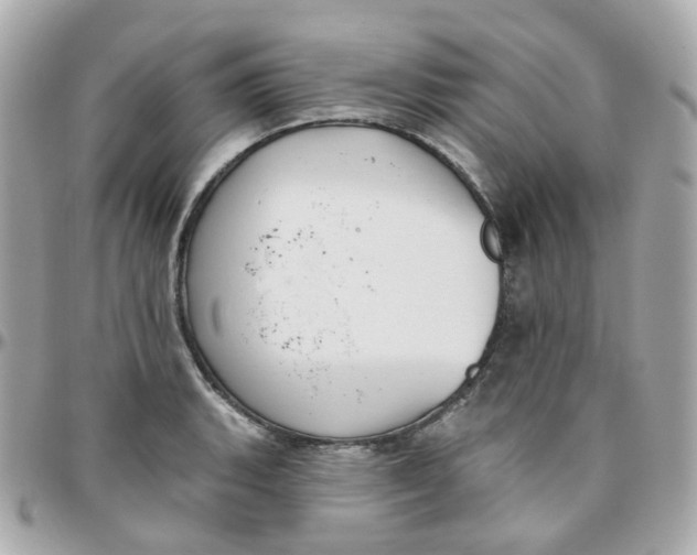 X0000095901135200802011122