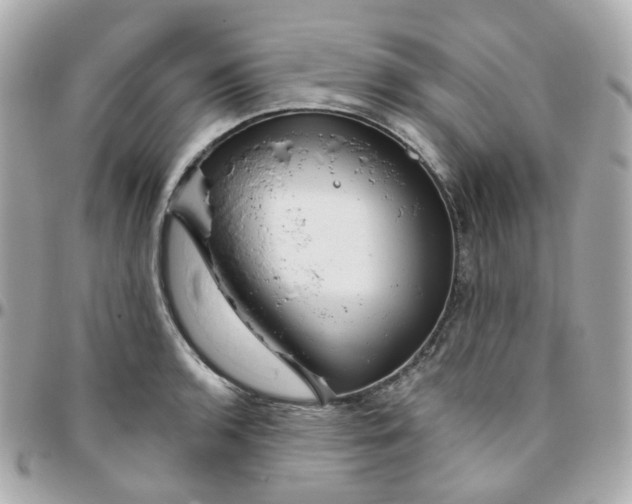 X0000095901136200802011122