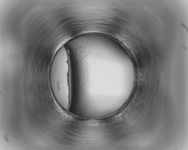 X0000095901137200802011122