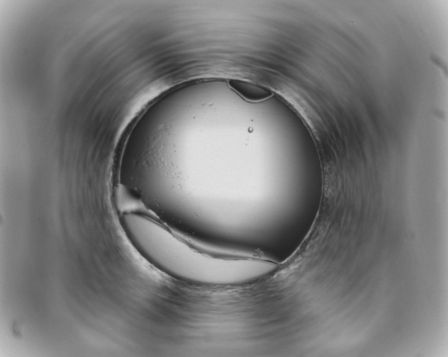 X0000095901139200802011122