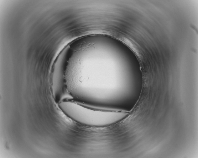 X0000095901140200802011122