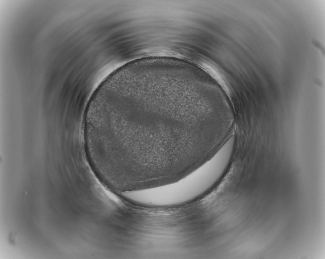 X0000095901141200802011122