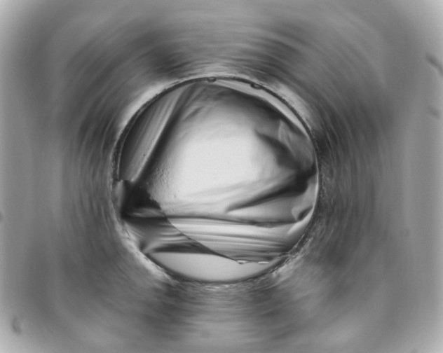 X0000095901142200802011122