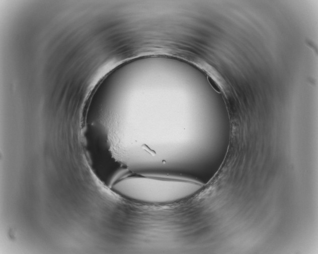 X0000095901143200802011122