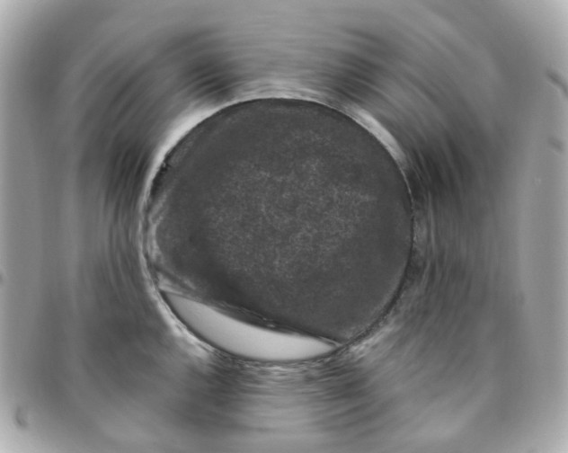 X0000095901144200802011122