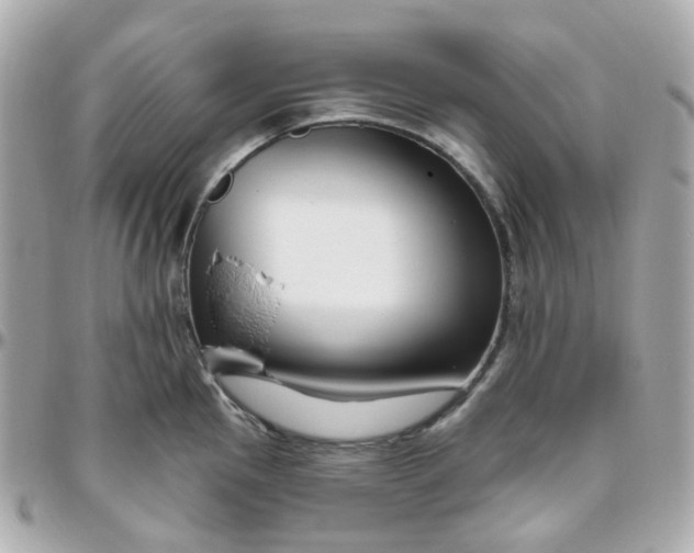 X0000095901145200802011122