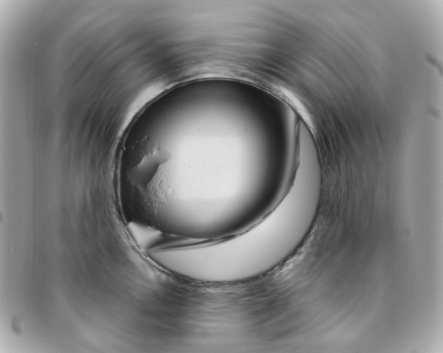 X0000095901146200802011122