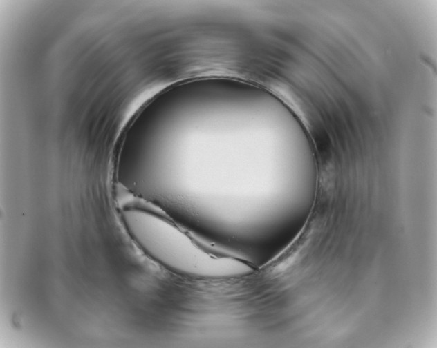 X0000095901149200802011123