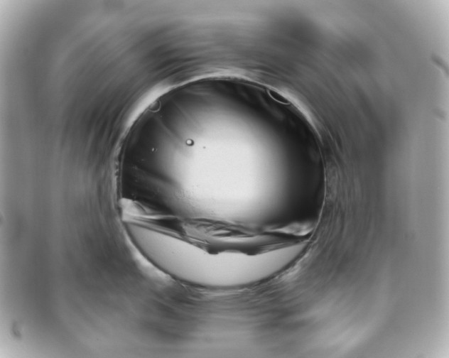 X0000095901151200802011123