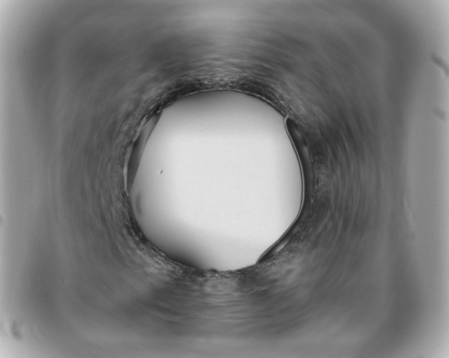 X0000095901153200802011122