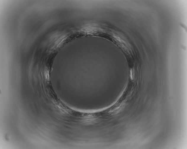 X0000095901155200802011122