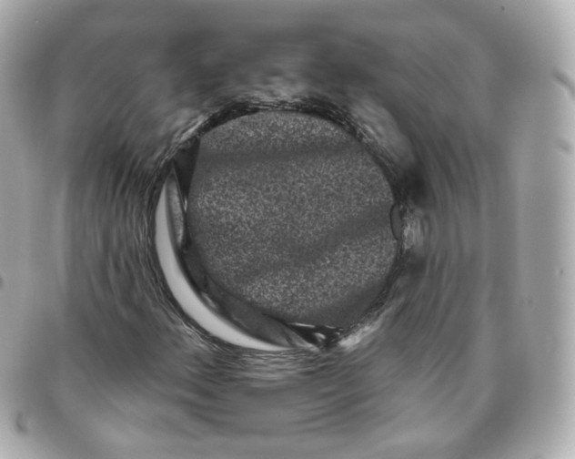 X0000095901156200802011122