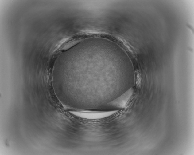 X0000095901157200802011122