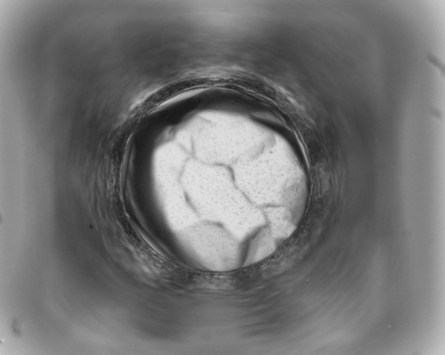 X0000095901158200802011122