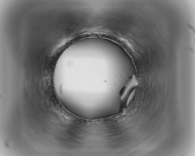 X0000095901159200802011122