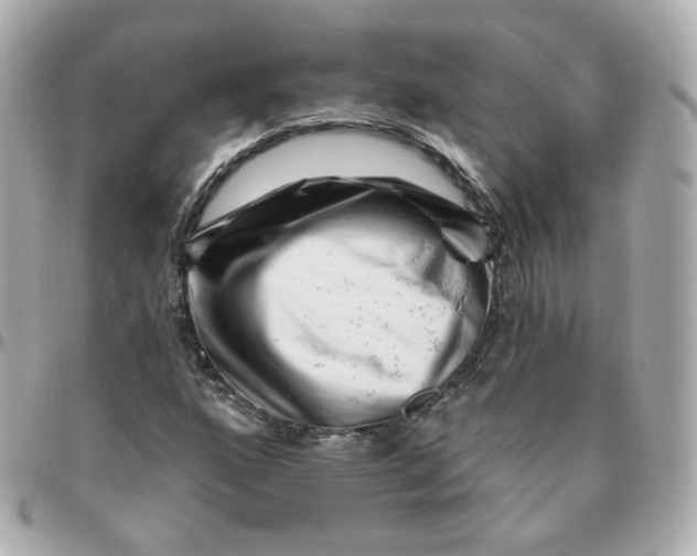 X0000095901160200802011122