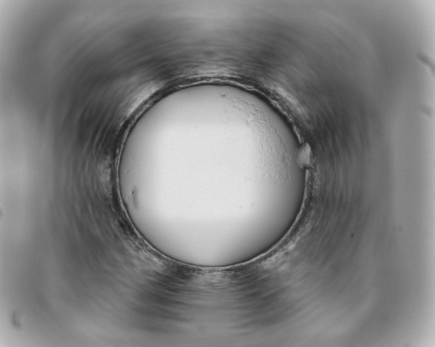 X0000095901162200802011122